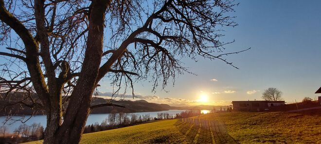 Sonnenuntergang über dem Mattsee