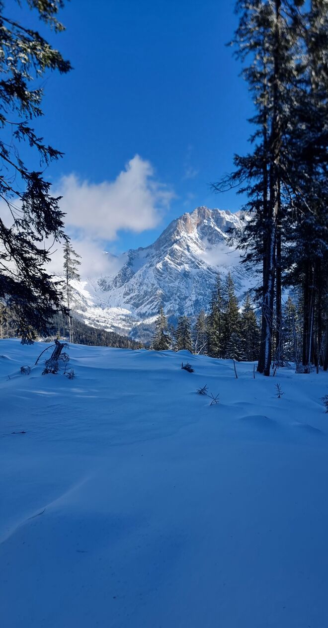 Herrlicher Blick zur Thorscharte
