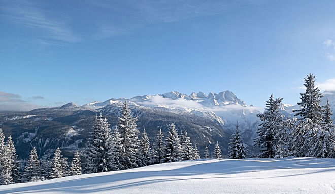 Dachsteinblick