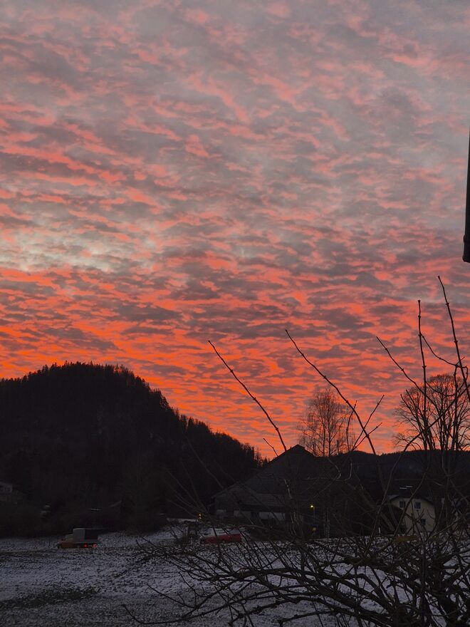 Morgenboten...