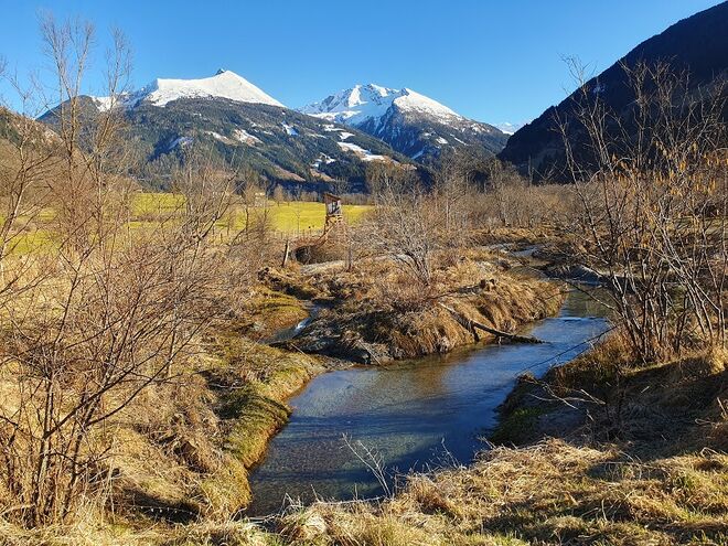 Der Frühling nimmt immer mehr überhand