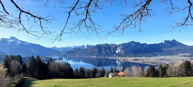 Mondseeblick