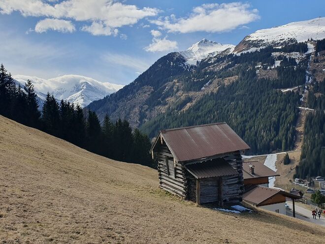 Föhnwalze