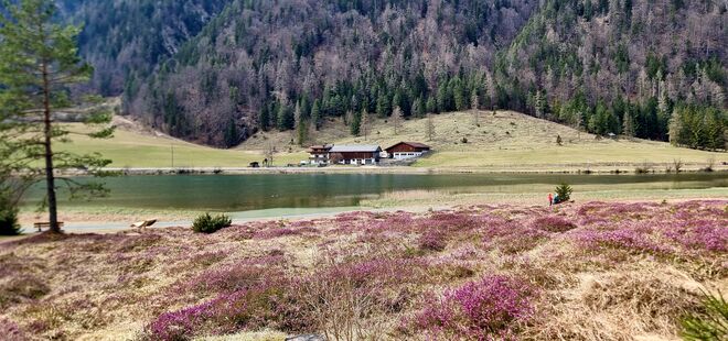 Erika am Pillersee