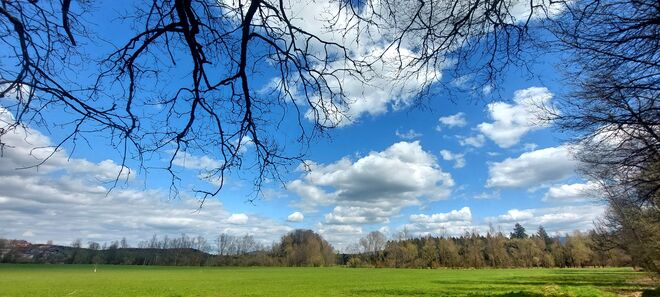 Vorfrühling im Moor