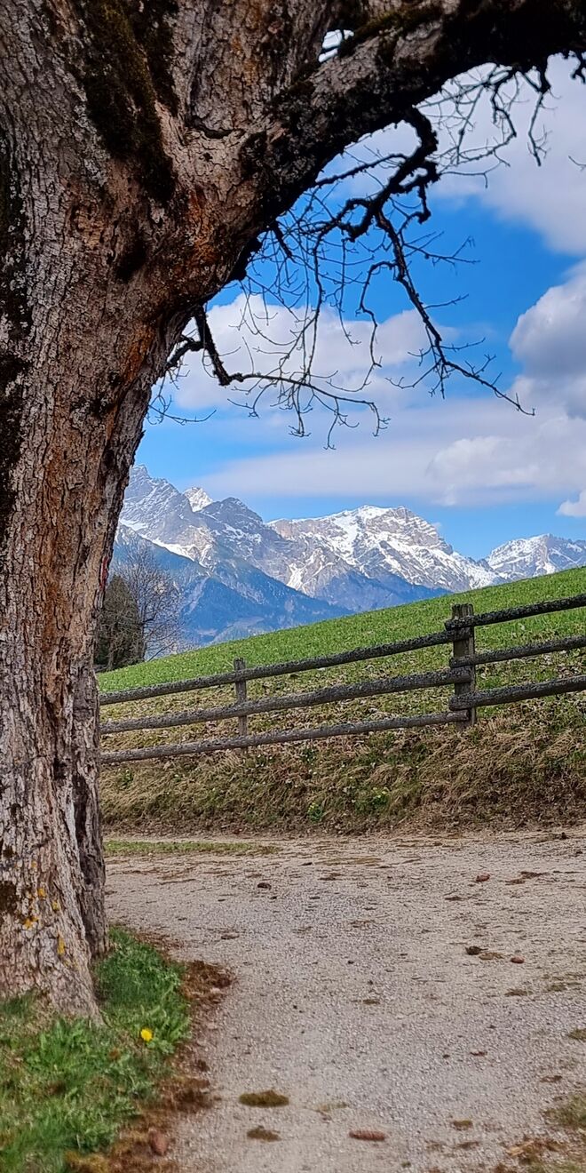 Pürzbühelblick