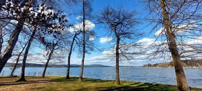 Vorfrühling am See