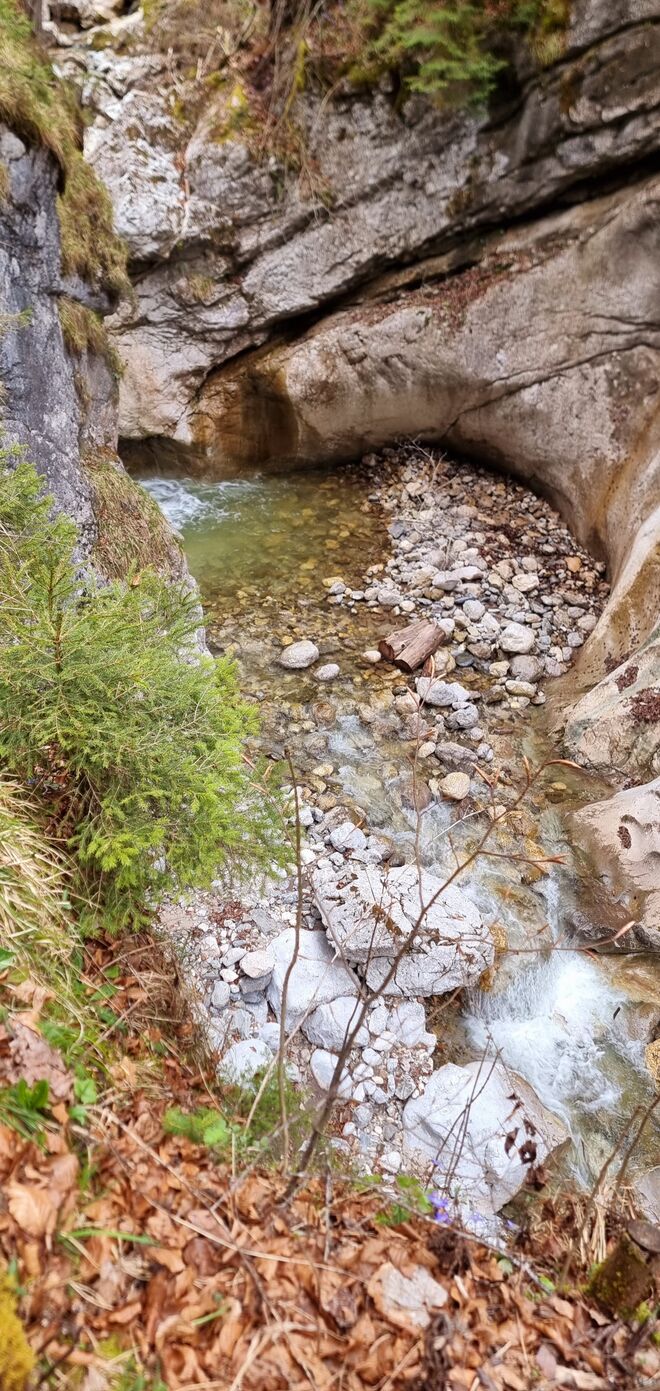 In der Wildentalschlucht