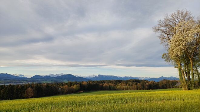 Morgengruss