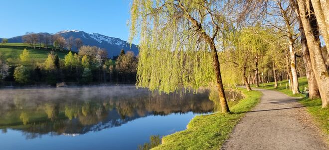 Blick zur Schwalbenwand
