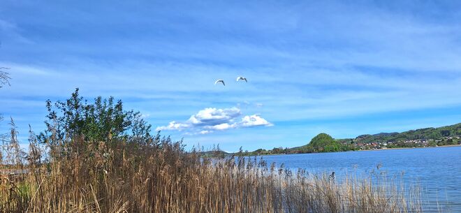 Blick auf den See