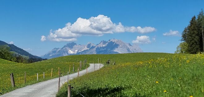 Wilder Kaiser