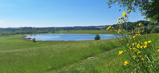 Blick auf den Seeleitensee