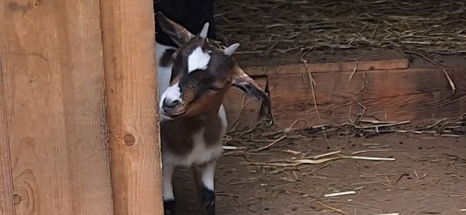 Hallo, ist da wer?