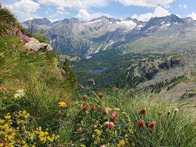 Herrliche Aussicht zum Reedsee