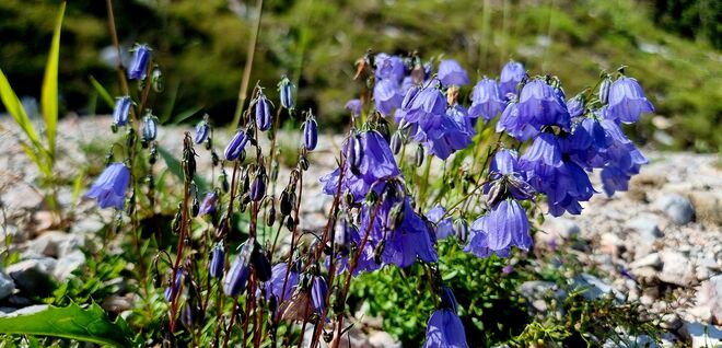 Herrliches Blau