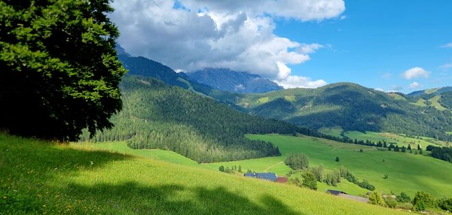 Licht & Schatten"