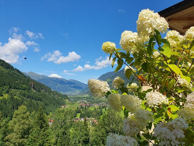 Endlich Sonne