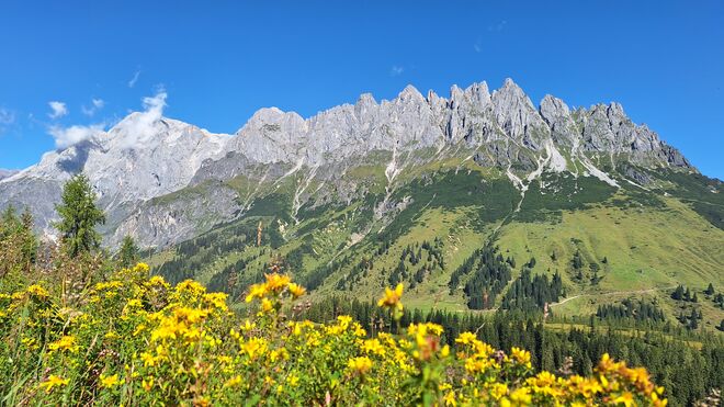 Blick auf die Mandelwände, Hochkönig