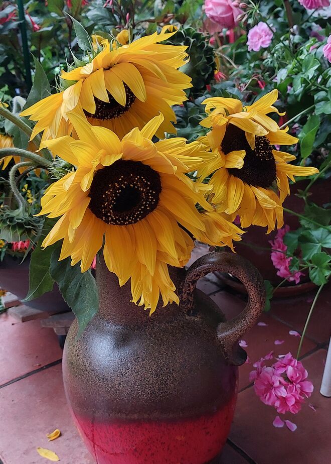 Ein Gruß vom Sommer ...