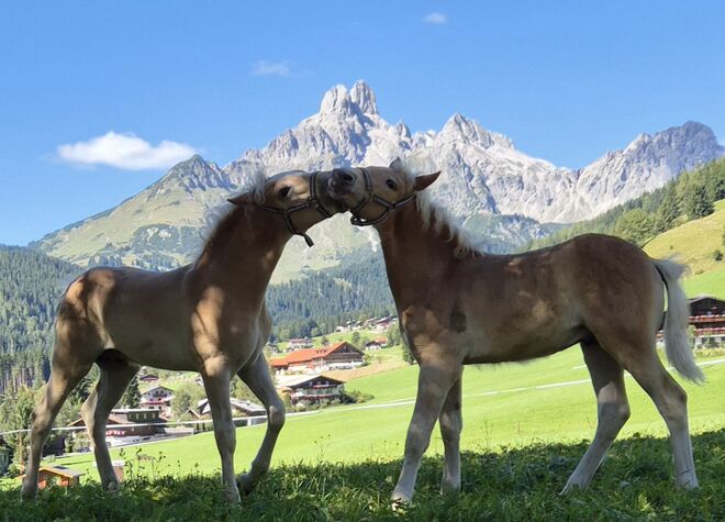 Spaß am Fuße der Bischofsmütze