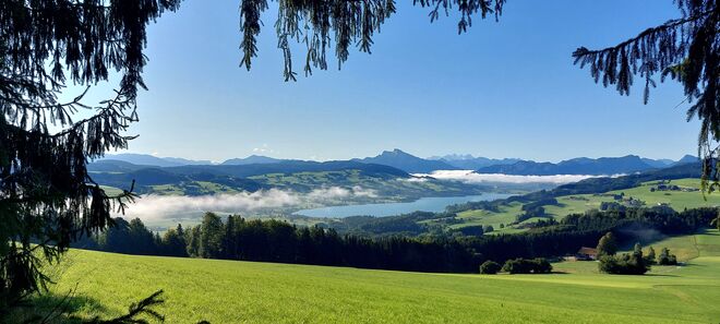 Herbstmorgen