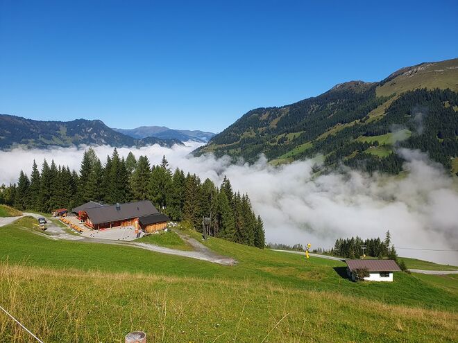 Talnebel