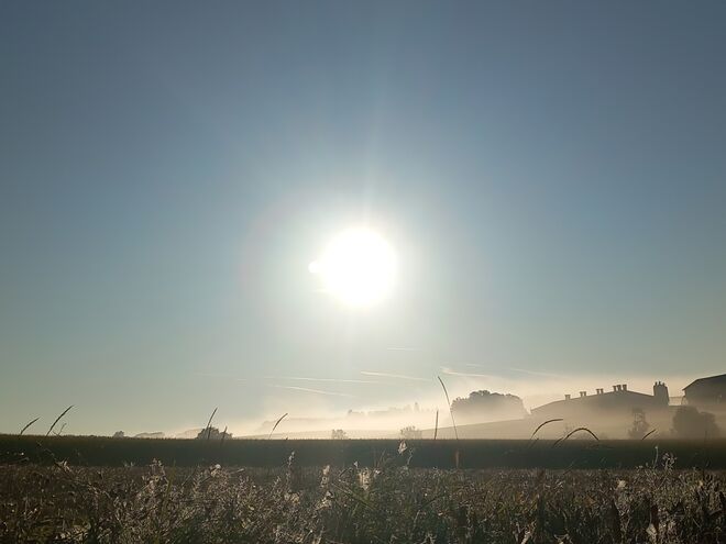 Herbsstimmung Buchberg