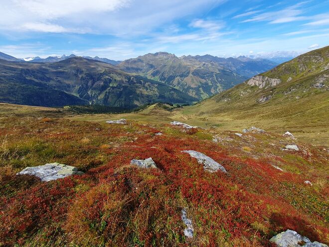 Herbstgruß