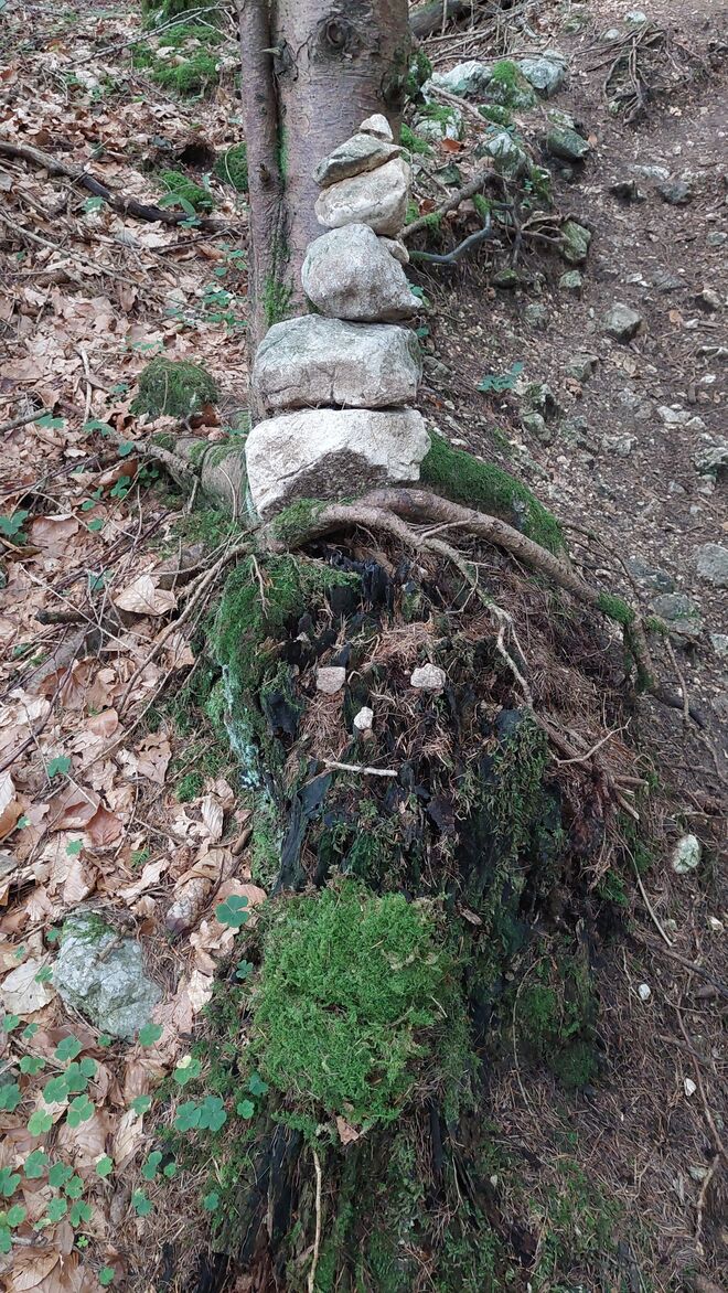 Die Sage vom Untersberg