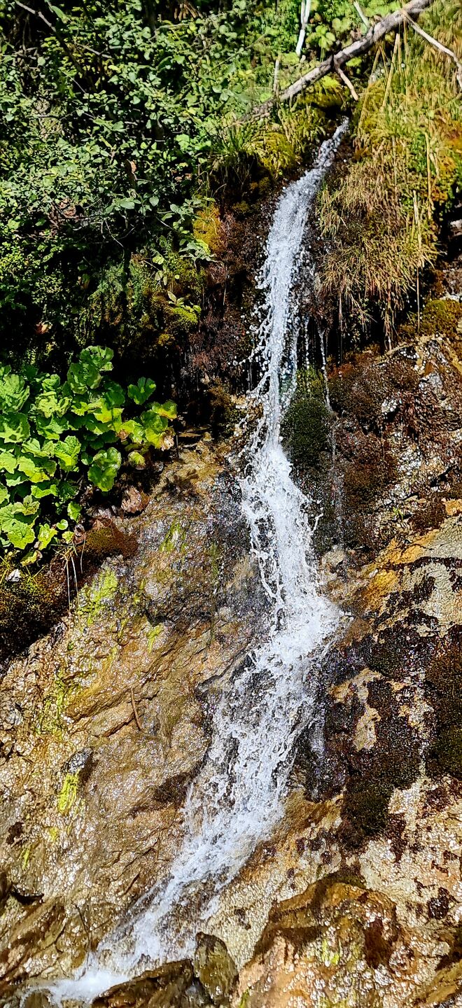 "Feiner kleiner Wasserfall"