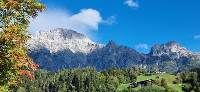 Das Birnhorn