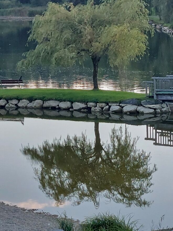 Abends am See