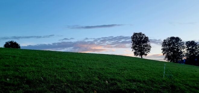 Feine Abendstimmung