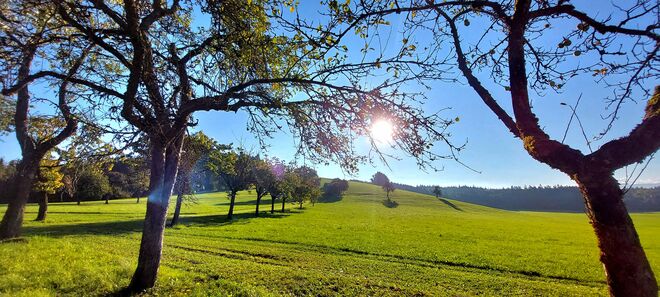 Herbstsonne