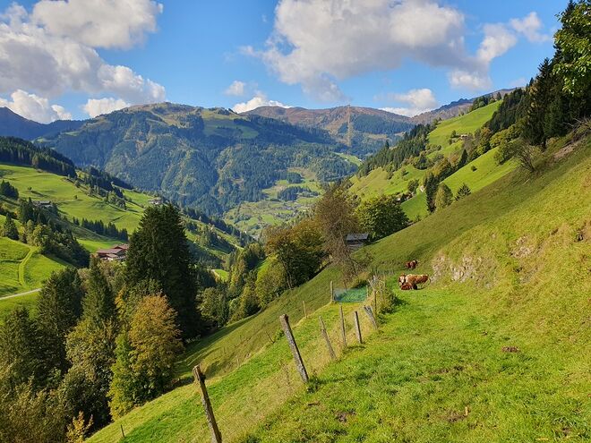 Ein sonniger Tag heute