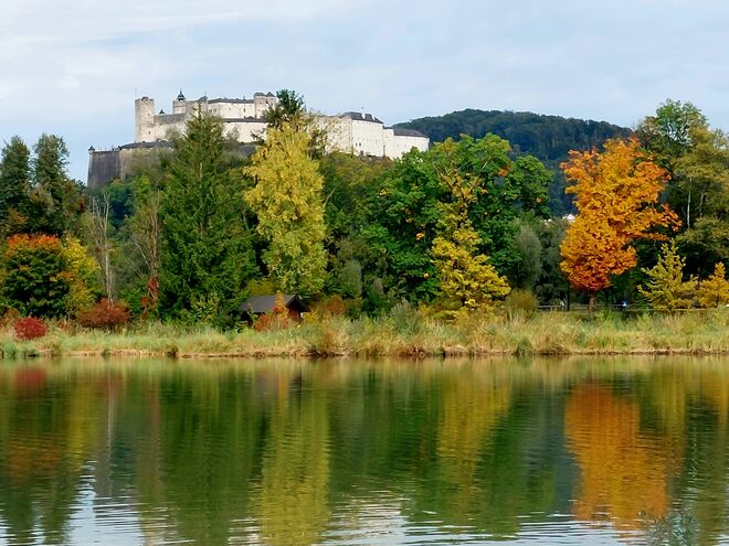 Ein Weiher in Bestlage