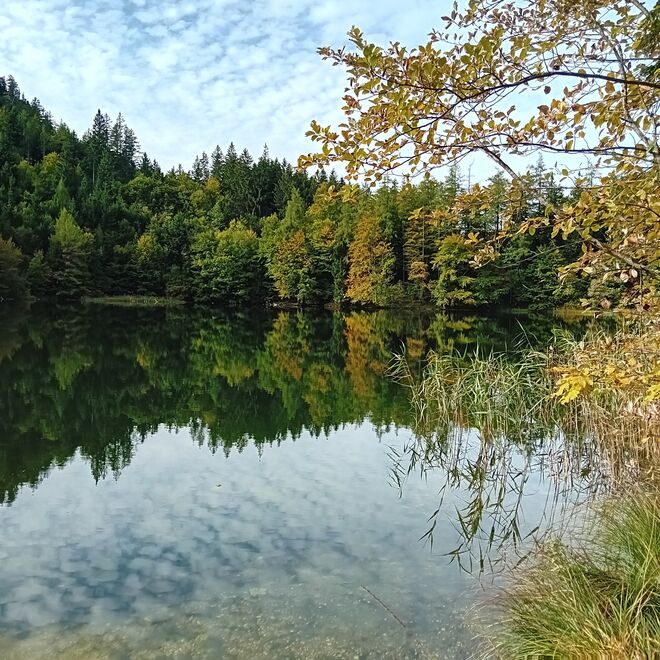 Herbstzeit