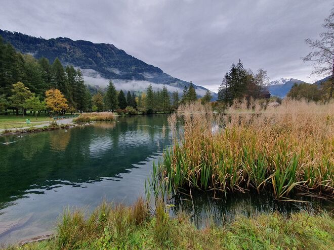 Herbststimmung