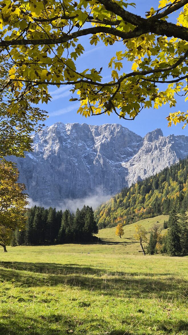 Großer Ahornboden