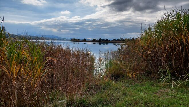 Herbst am Wallersee