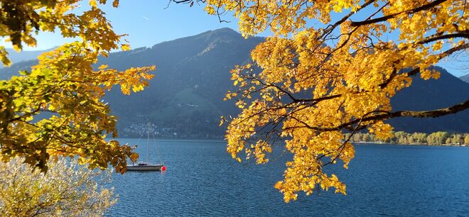 Goldener Herbst