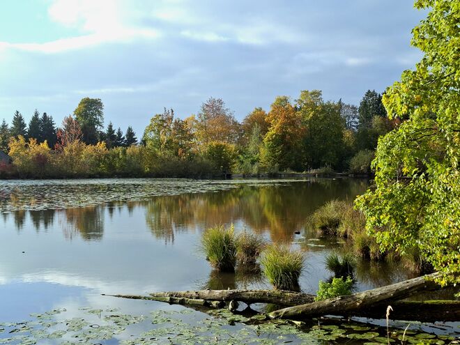 Am Schlossteich