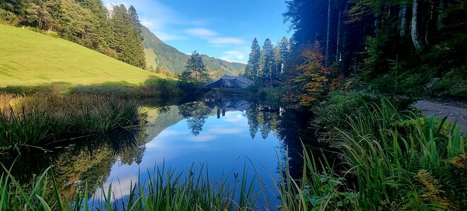 Herbstliche Spiegelung