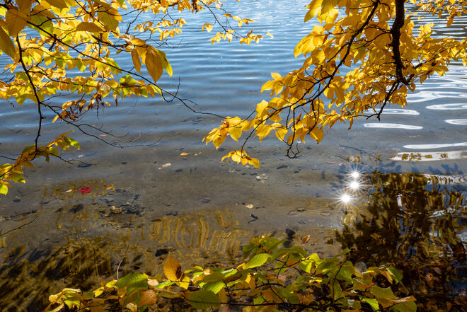 Herbstlicht