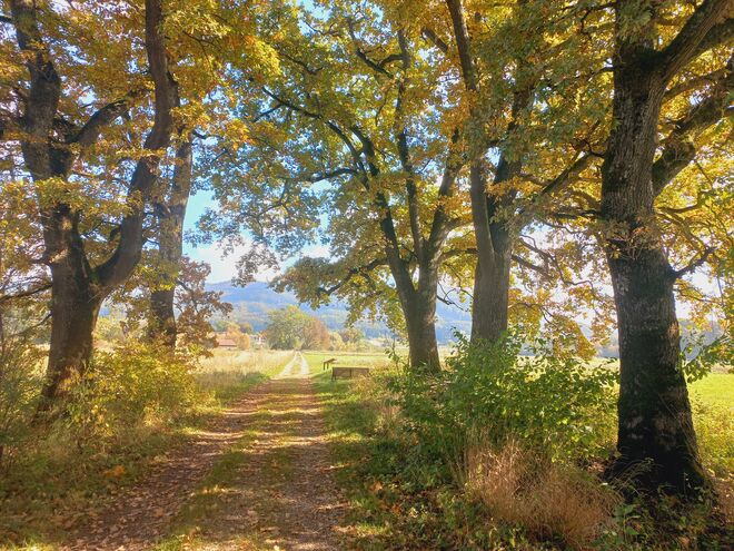 Ein Herbsttag.....
