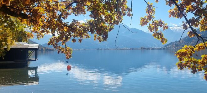Die Stille am See