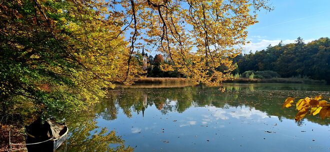 Herbst in all seiner Pracht - vorgestern :)