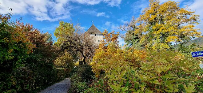 Herbstlich eingekleidet....