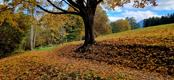 Herbstlicher Flair